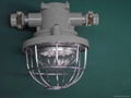 LED coal mine tunnel light China  4