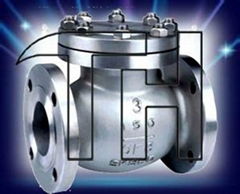 American standard swing check valves