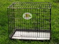 foldable dog cage/house