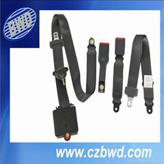 3-point Emergency locking safety belt