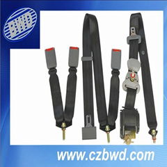 Retractable seat belts 