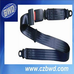 car Safety Seat Belt 2 points