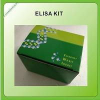 Rat Antrial Natriuretic Factor(ANF)ELISA Kit