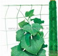 plant support net 1