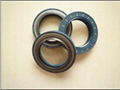 Auto Oil Seal Wholesale