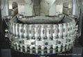 PET water bottle rotary blow molding machine R12 2