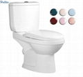 HT215 Washdown Two Piece WC Closet Color For Choose Toilet 