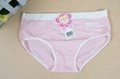 hot sale in Asia women underpants 2