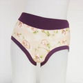 Bamboo Fiber Women Underwear 2