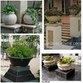 Garden Stone Flower Pot 3