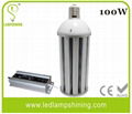 E40/E39 100W LED Post Top Lamp - 300pcs