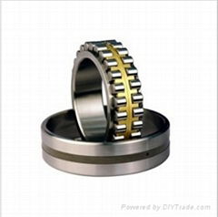 Cylindrical Roller Bearing Nnu4840k