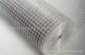 Welded Wire Mesh 5