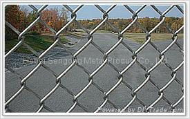 Chain Link Fence