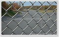 Chain Link Fence