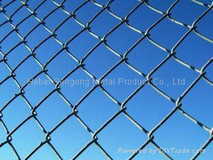 Chain Link Fence 5