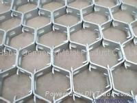 Tortoise  Shell Mesh 3