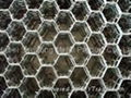 Tortoise  Shell Mesh 4