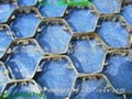 Tortoise  Shell Mesh 5