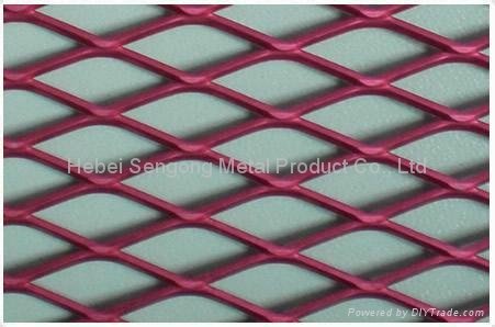 Expanded panel Mesh