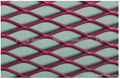 Expanded panel Mesh