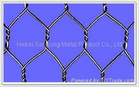 Hexagonal Wire Netting