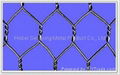 Hexagonal Wire Netting