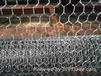 Hexagonal Wire Netting 3