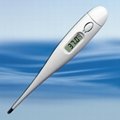 thermometer WDT101