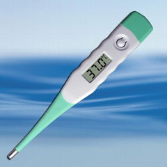 thermometer WDT202