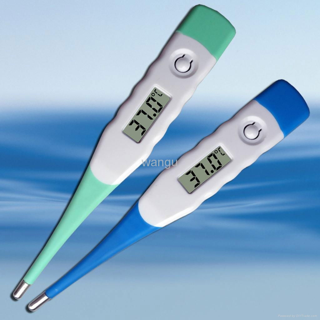 thermometer WDT202 2