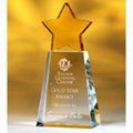 Acrylic Award Perspex Trophy with Laser Engraved LOGO 1