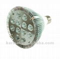 PAR38 LED spot light 1