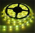 5050 30LEDs/m waterproof&non-waterproof