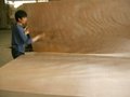 okoume door skin plywood