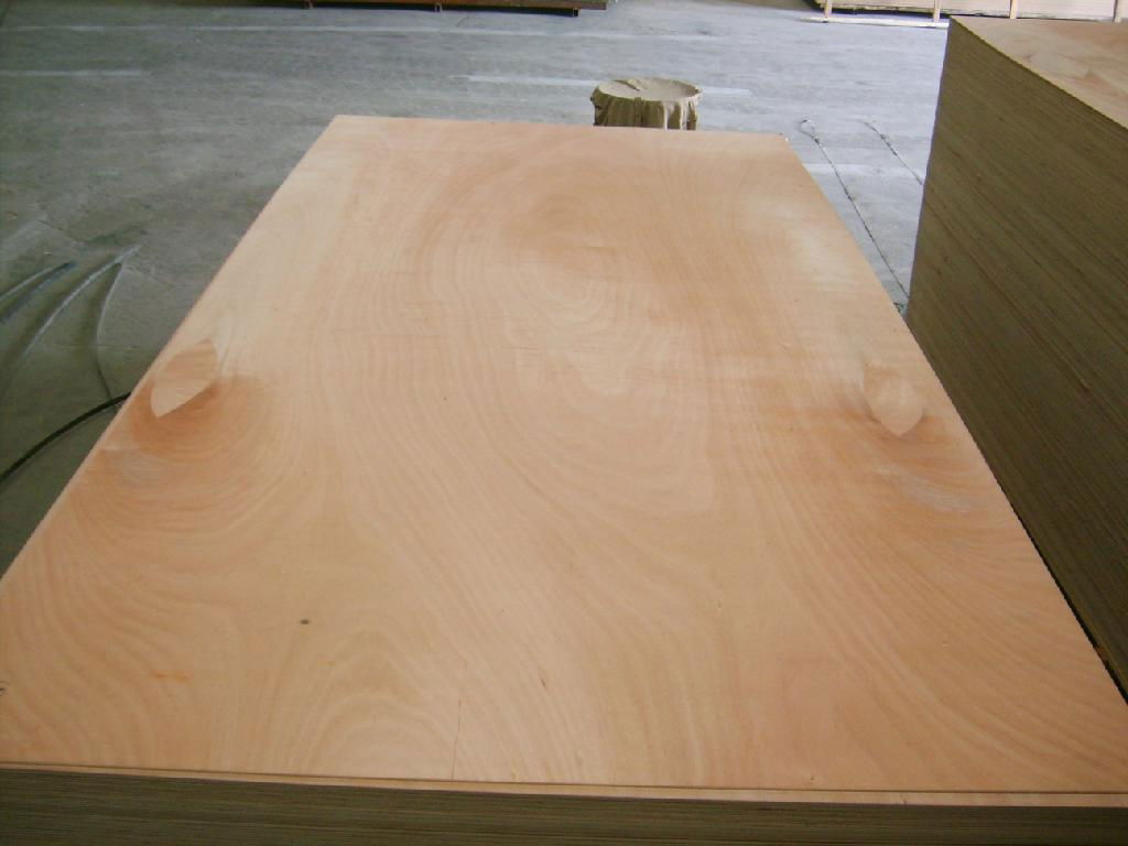 okoume door skin plywood 3