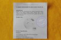 "LCD display carbon monoxide detector "