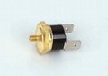 T1/33-BH2 electric oven thermostat 2