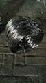 Balck Annealed Wire 1