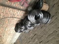 Balck Annealed Wire 3