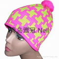 2014 new Fashion embroidered knitted hats 1