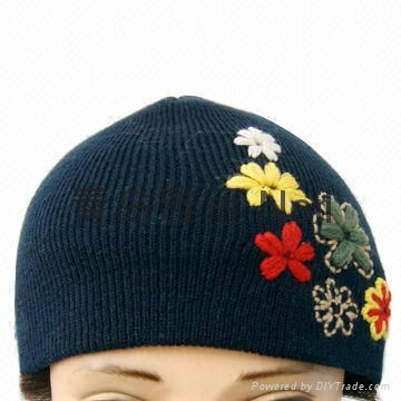 2014 new Fashion embroidered knitted hats 2