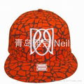 2014 new NY Fashion snapback cap 4