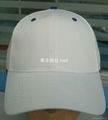 2014 new blank promotion  baseball cap  4