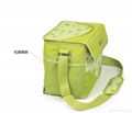 fashion Insulation travel ice bag