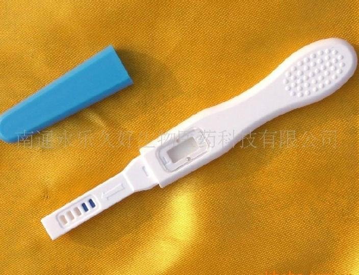 Pregnancy test  2