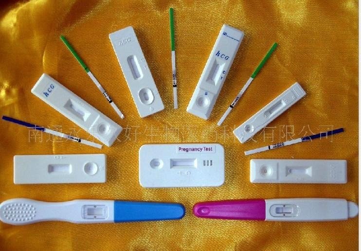 Pregnancy test  4