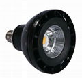 First Class LED Par Lamp COB Chip High