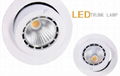 3w 5w high quality cob led downlight in Shenzhen 