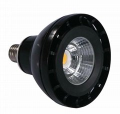 E27 High Power Warm White Energy Saving LED Par Lamp
